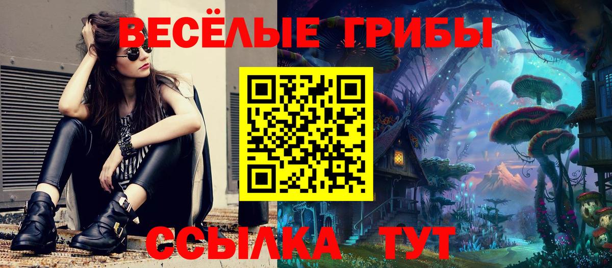 Псилоцибиновые грибы мицелий Майский